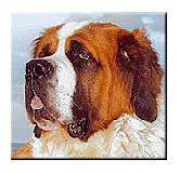 Tierheim Manager Logo